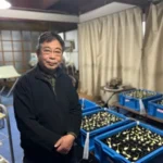 矢野さんの活動の様子